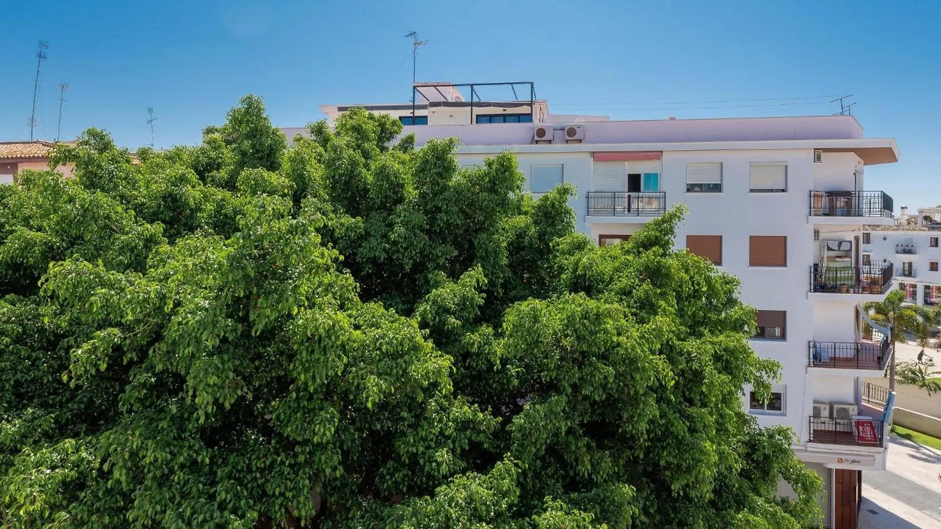 Hanami Apartamento La Palma 埃斯特波纳 公寓